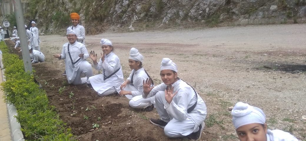 World Environment Day 2022