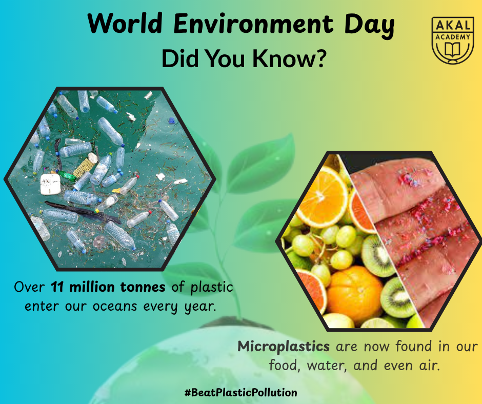  World Environment Day 2025