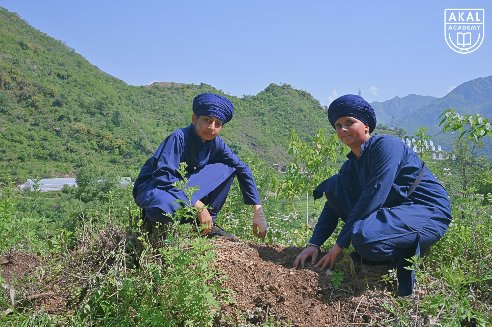 Students Planting Saplings - World Environment Day 2025 Gallery Image
