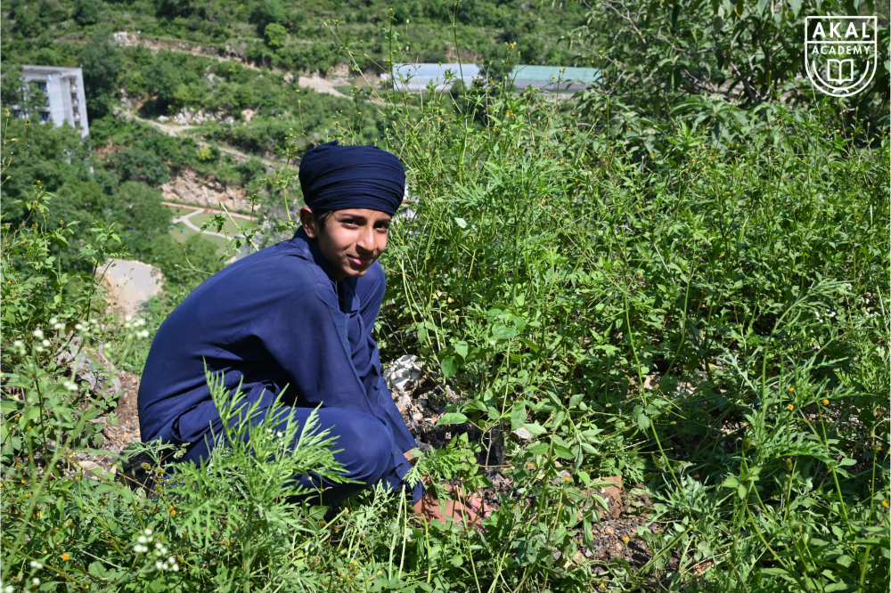 Students Planting Saplings - World Environment Day 2025 Gallery Image